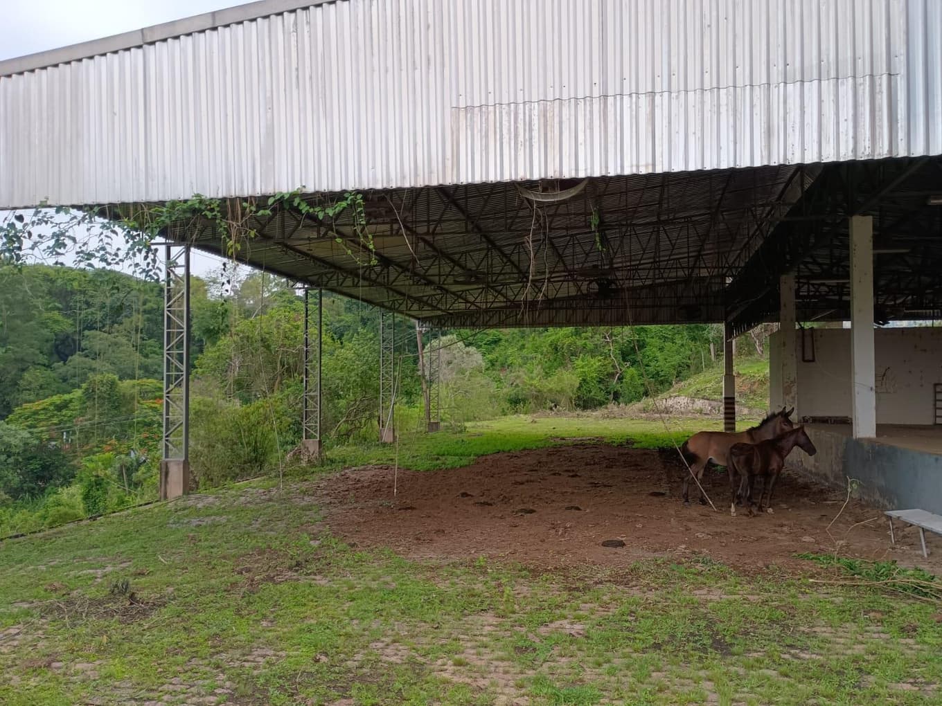 Foto 35 de 70: Area Rural em leilão em Amparo - SP, bairro Três Pontes — Imóvel Rural, A.T. 19ha, A.C. 7.362m², antigo abatedouro, galpões, casas, Três Pontes