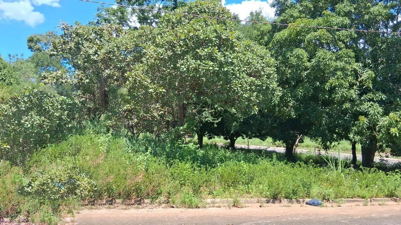 Foto 5 de 6: Terreno em leilão em Minaçu - GO, bairro Vila Residencial de Minaçu — Terreno Urbano 655m² | Vila Residencial de Minaçu - Minaçu/GO |Localização Nobre e Infraestrutura Completa: Ideal para Construção e Investimento!
