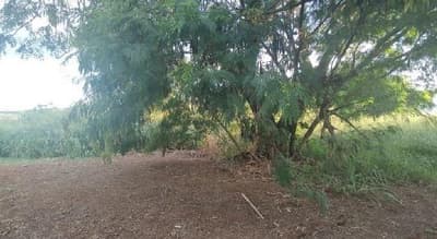 Foto 5 de 5: Terreno em leilão em Uberlândia - MG — Terreno 11.537m² Desocupado no bairro Cidade Jardim Ampliação em Uberlândia/MG - Desocupado