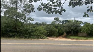 Foto 9 de 10: Area Rural em leilão em Itapeva - SP, bairro Lagoa Seca — (50%) Imóvel Rural, 9,68ha, plantio agrícola, mata nativa, eucalipto, Bairro Lagoa Seca