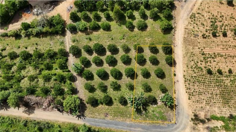Foto 3 de 6: Terreno em leilão em Dona Emma - SC — IMÓVEL URBANO COM ÁREA TOTAL DE 453,04 m2- Em DONA EMMA/SC