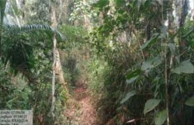 Foto 5 de 5: Terreno em leilão em Apiúna - SC, bairro Zona Rural — IMÓVEL RURAL COM ÁREA TOTAL DE 16,135 ha- Em APIÚNA/SC