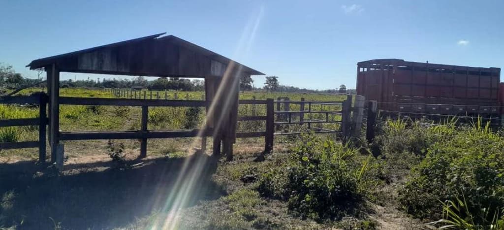 Foto 5 de 7: Area Rural em leilão em Corumbiara - RO — IMÓVEL RURAL | AT. 41,1017 HA E AC 35,7866 | CORUMBIARA/RO