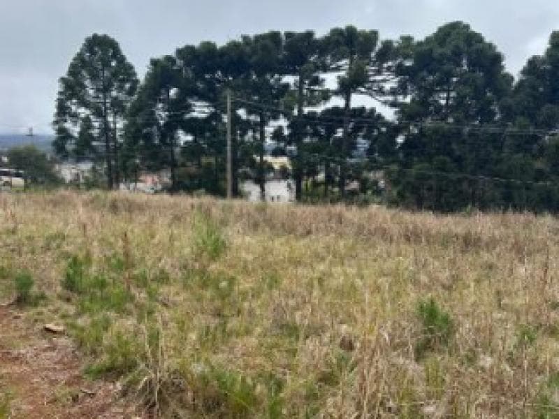 Foto 12 de 12: Terreno em leilão em Gramado - RS, bairro Várzea Grande — Lote, 4082.96 m2, Gramado / RS