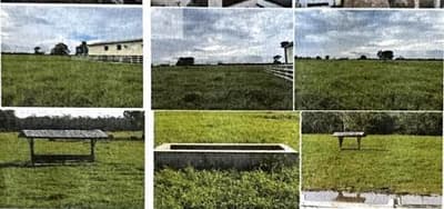 Foto 2 de 4: Area Rural em leilão em Careiro Da Várzea - AM — IMÓVEL RURAL | 81,00 HA - FAZ. CRUZEIRO | CAREIRO DA VÁRZEA