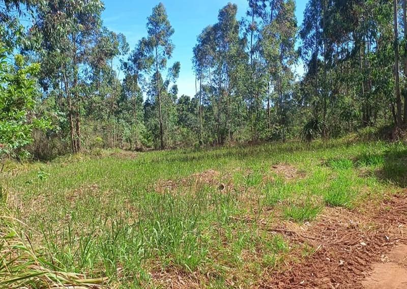 Foto 2 de 2: Area Rural em leilão em Imbituva - PR — Imóvel rural, com a área de 99.953,37 m2, Imbituva/PR