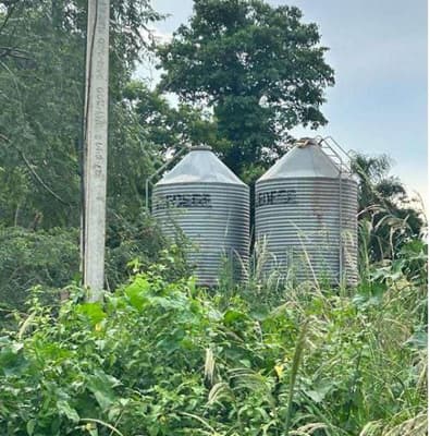 Foto 20 de 40: Area Rural em leilão em Marechal Cândido Rondon - PR — Parte ideal de 55.265,69 m² do Lote Rural 05/A do 19º Perímetro da Fazenda Britânia, situado neste município e comarca de Marechal Candido Rondon/PR