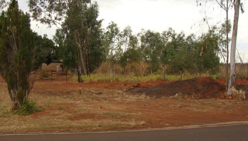 Foto 3 de 7: Area Rural em leilão em Presidente Epitácio - SP — GLEBA DE TERRAS, com a área de 16,1673 has