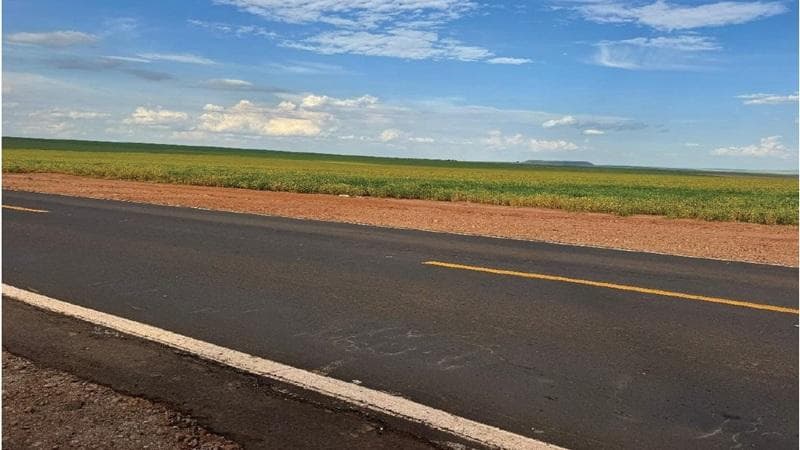 Foto 24 de 30: Area Rural em leilão em Paraíso Das Águas - MS — IMÓVEL RURAL | 400 HA (FRAÇÃO IDEAL) - FAZ. LOTE BAÚS PERDIDO I SECÇÃO B | PLANTIO PARA SOJA E MILHO | PARAÍSO DAS ÁGUAS/MS