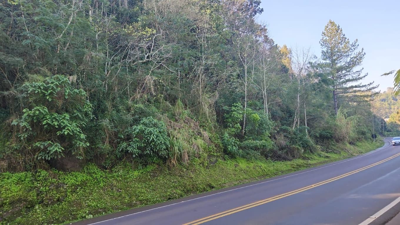 Foto 5 de 10: Terreno em leilão em Mondaí - SC — LOTE URBANO Nº 06 LOCALIZADO NA AVENIDA LAJU NO MUNICÍPIO DE MONDAÍ/SC - ÁREA DE 2.000M²