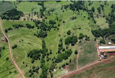 Foto 12 de 13: Area Rural em leilão em São José Das Palmeiras - PR — IMÓVEL RURAL COM ÁREA TOTAL DE 22,40 ha- Em SÃO JOSÉ DAS PALMEIRAS/PR