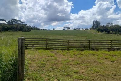 Foto 12 de 15: Area Rural em leilão em Pitanga - PR — VENDA CONJUNTA DE DUAS MATRÍCULAS- Em PITANGA/PR