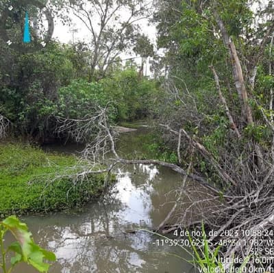 Foto 6 de 17: Area Rural em leilão em Paranã - TO — IMÓVEL RURAL | 1.522,3316 HA | FAZENDA LARGA OU LARGA DO ZÉ JANUÁRIO | PARANÃ/TO.