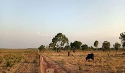 Foto 1 de 8: Area Rural em leilão em Dois Irmãos Do Tocantins - TO — IMÓVEL RURAL | 144,57,04HA | FAZ. PIONEIRA I EM DOIS IRMÃO DO TOCANTINS/TO - EXPLORAÇÃO DE AGROPECUÁRIA