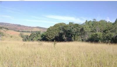 Foto 4 de 9: Area Rural em leilão em Tiros - MG — Tiros/MG - Área Rural com 38.13Ha - Desocupado