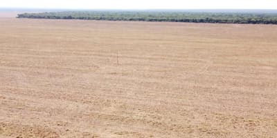 Foto 6 de 6: Area Rural em leilão em Brasnorte - MT — Fazenda Elo Verde 2.200 hectares em MT 50% de desconto