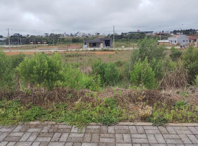 Foto 9 de 11: Terreno em leilão em Curitibanos - SC, bairro Bosque — IMÓVEL URBANO COM ÁREA TOTAL DE 405,00 m2, EM CURITIBANOS-SC