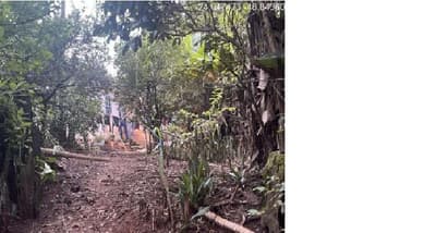 Foto 3 de 10: Area Rural em leilão em Itapeva - SP, bairro Lagoa Seca — (50%) Imóvel Rural, 9,68ha, plantio agrícola, mata nativa, eucalipto, Bairro Lagoa Seca