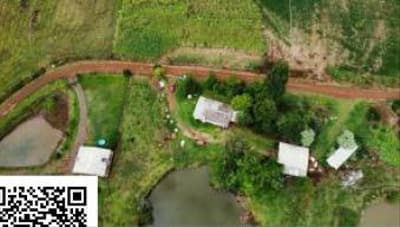 Foto 2 de 2: Terreno em leilão em Seberi - RS — IMÓVEL RURAL com área ideal de 1,974675 ha - Seberi/RS,