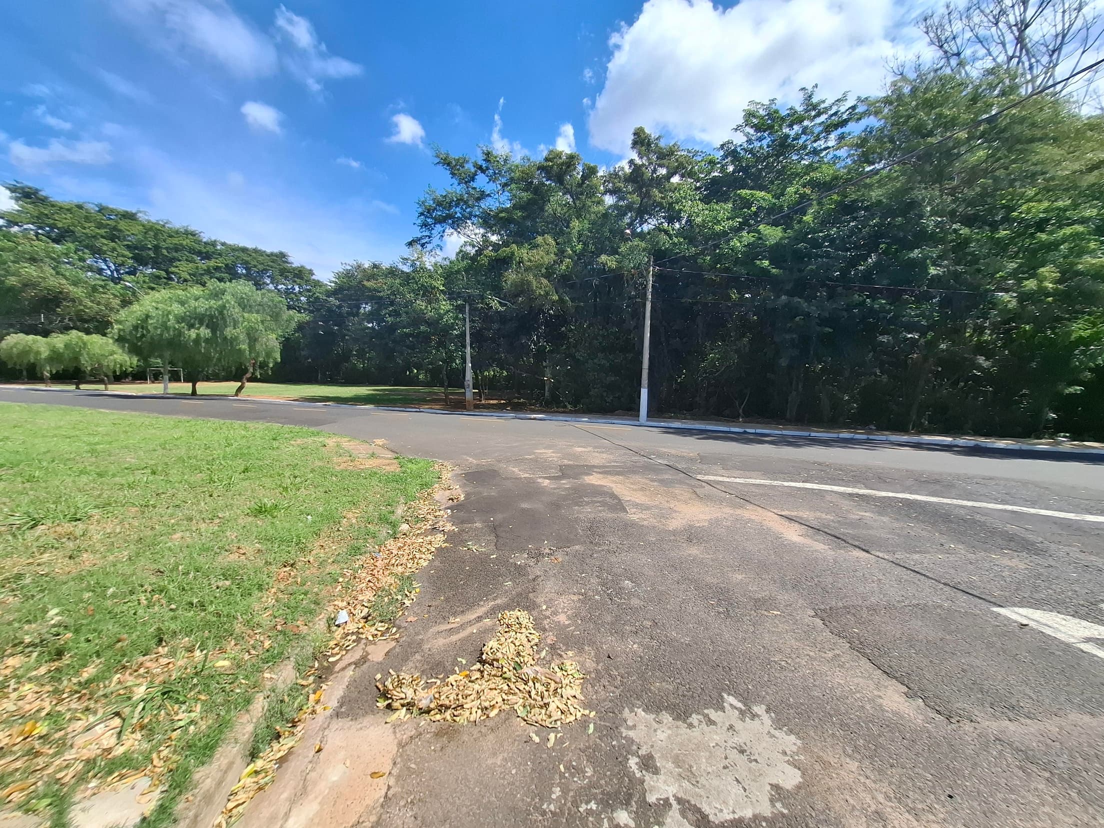 Foto 7 de 10: Terreno em leilão em Mirassol - SP — TERRENO NA RUA JOÃO DE PAULA MACIEL COM ÁREA DE 450m², MIRASSOL/SP | MATRICULA 26.053