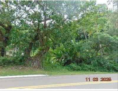 Foto 7 de 7: Terreno em leilão em Ibirama - SC — TERRENO URBANO com área total de 195.284,0 m²
