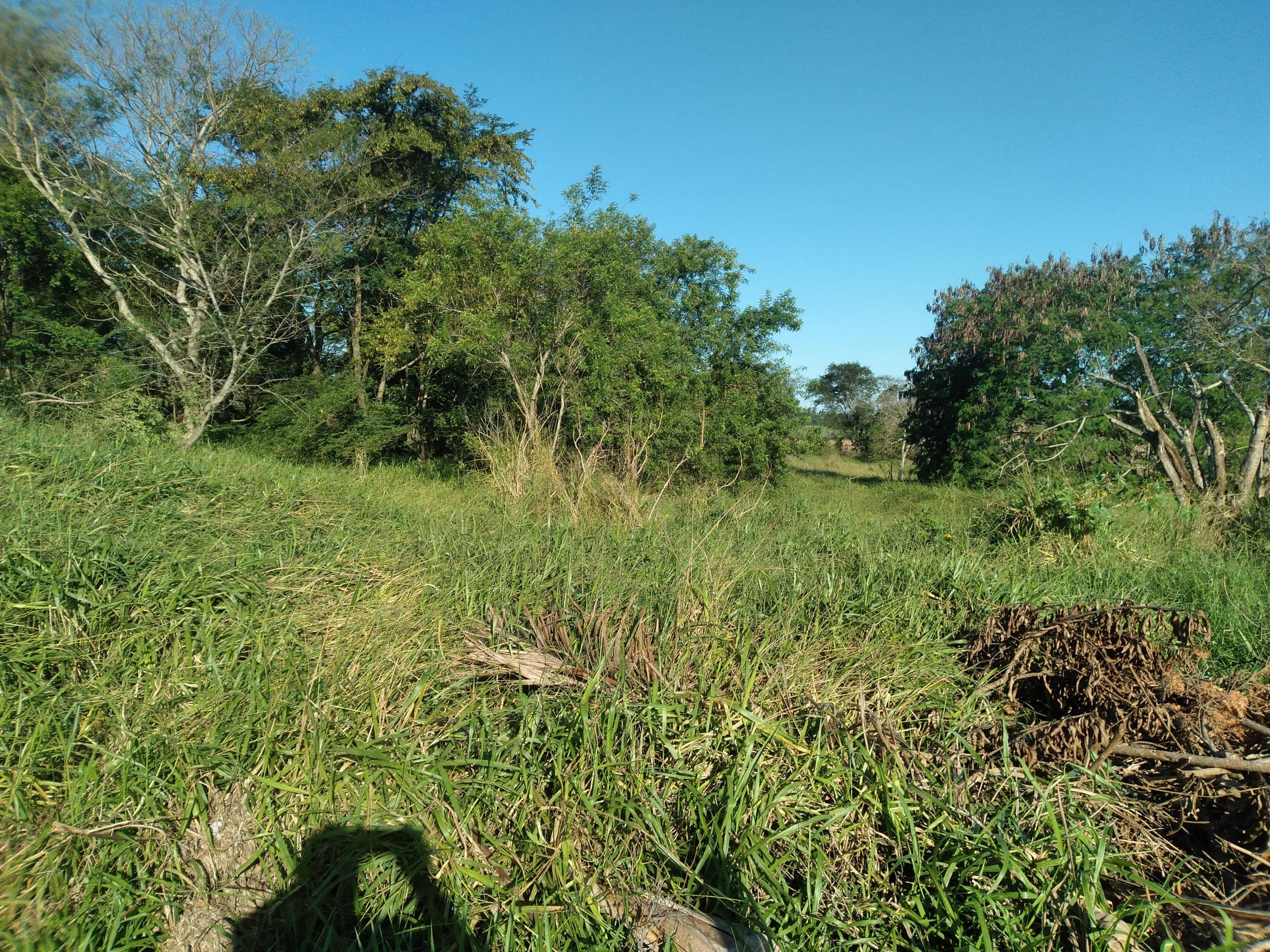 Foto 31 de 41: Area Rural em leilão em Capitão Leônidas Marques - PR — Gleba Urbana Desocupada 27.837m2 no Bairro São Gabriel em Capitão Leonidas Marques/PR