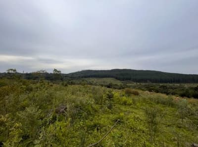 Foto 2 de 6: Area Rural em leilão em São Cristóvão Do Sul - SC — Terreno com A.T. 872.491m², Carataguá, Curitibanos/SC
