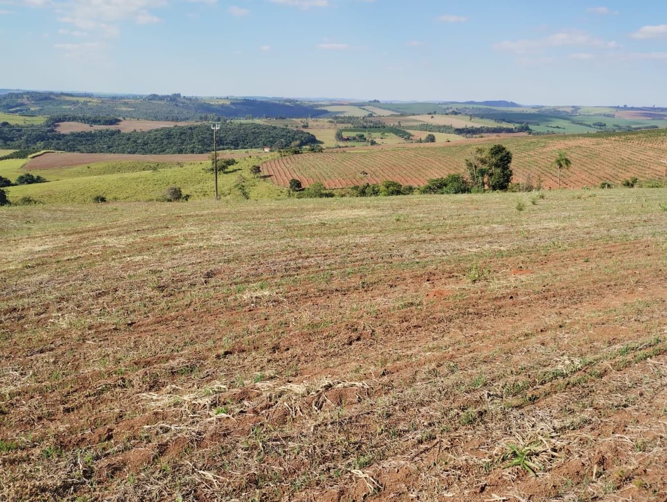 Foto 10 de 24: Area Rural em leilão em São Jerônimo Da Serra - PR — Área rural com área de 35,53 hectares - São Jerônimo da Serra/PR.