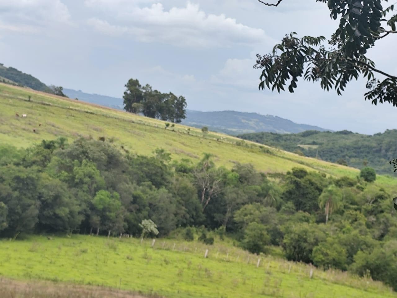 Foto 3 de 5: Area Rural em leilão em São Pedro Do Sul - RS, bairro Interior — IMÓVEL RURAL COM ÁREA TOTAL DE 70.000 M2 EM SÃO PEDRO DO SUL-RS