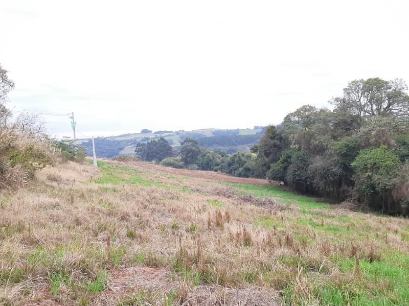 Foto 8 de 8: Terreno em leilão em Trindade Do Sul - RS, bairro Centro — IMÓVEL URBANO COM ÁREA TOTAL DE 3.735,66M2 EM TRINDADE DO SUL-RS