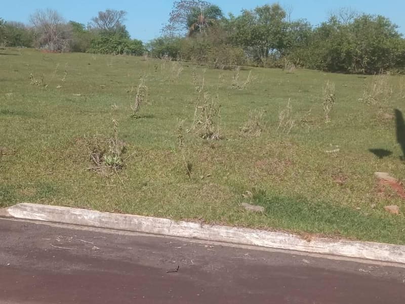 Foto 4 de 9: Terreno em leilão em Pérola - PR — Lote, 723.76 m2, Desocupado, Pérola / PR (65% abaixo da avaliação)