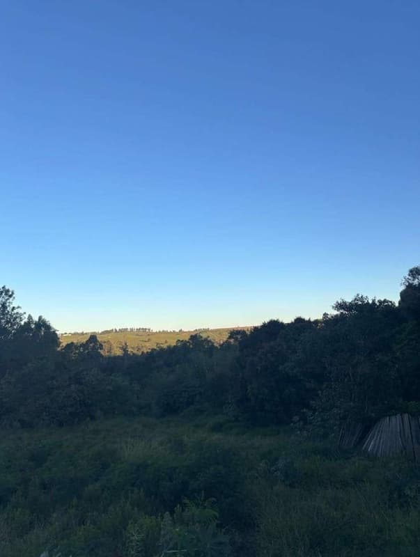 Foto 2 de 6: Area Rural em leilão em Ibaiti - PR — Chácara Três Irmãos com a área de 1,031 alqueires ou 24.955,00m², Ibaiti/PR