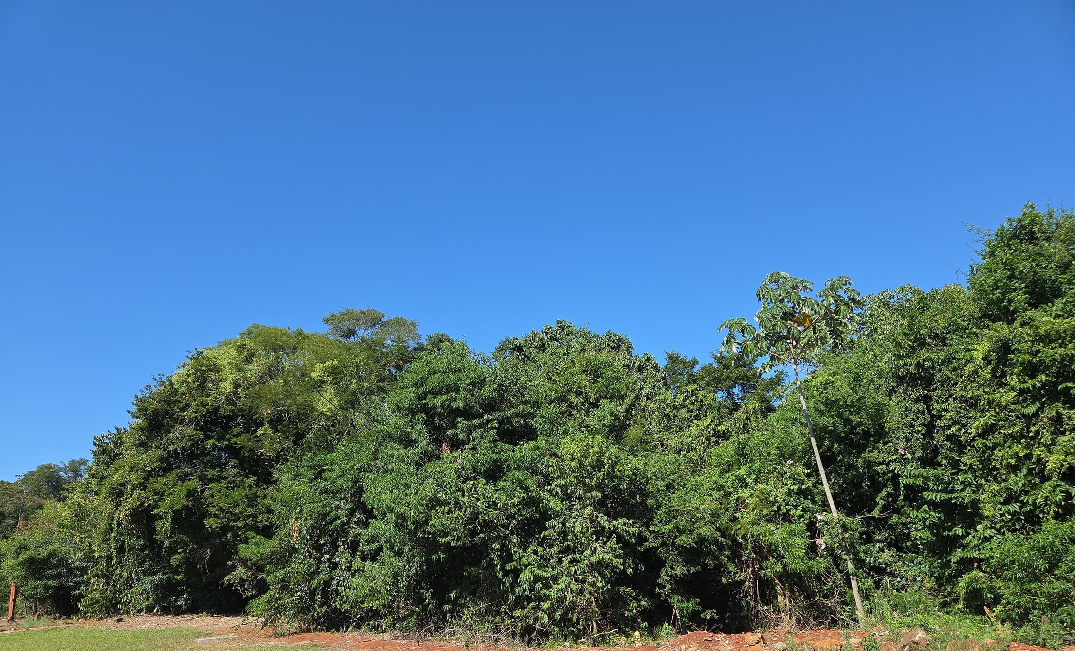 Foto 4 de 4: Terreno em leilão em Nova Prata Do Iguaçu - PR, bairro Colônia Missões — LOTE URBANO Nº 11, QUADRA Nº 01 DO LOTEAMENTO QUATRO PORTEIRAS DO MUNICÍPIO DE NOVA PRATA DO IGUAÇU/PR ÁREA DE 600M²