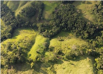 Foto 3 de 4: Area Rural em leilão em Pitanga - PR — IMÓVEL RURAL COM ÁREA TOTAL DE 80.670 m2- Em PITANGA/PR