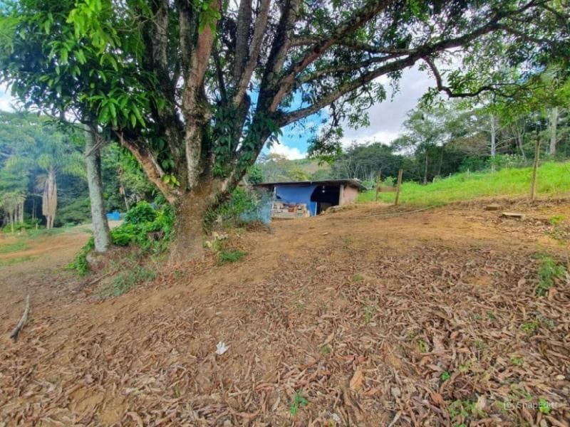 Foto 6 de 11: Terreno em leilão em Juiz De Fora - MG, bairro Volta Grande — Lote, 52382.93 m2, Juiz de Fora / MG