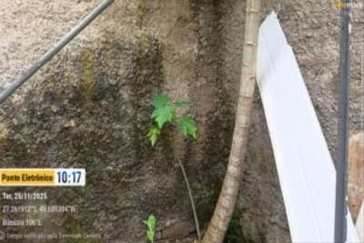 Foto 7 de 20: Terreno em leilão em Rio Do Sul - SC, bairro Barra do Trombudo — IMÓVEL URBANO COM ÁREA TOTAL DE 579,000 m2- Em RIO DO SUL/SC