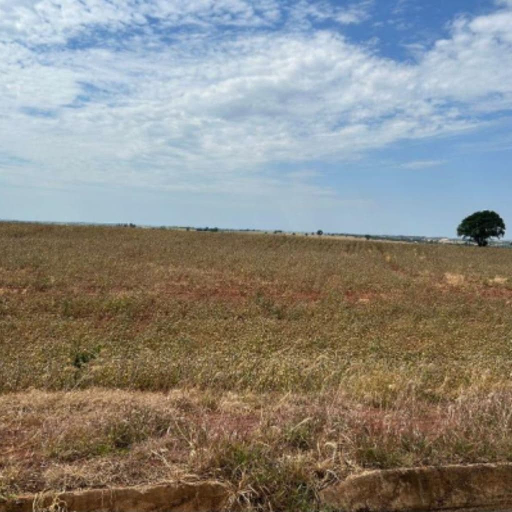 Foto 4 de 5: Area Rural em leilão em Francisco Alves - PR — IMÓVEL RURAL COM 174.03ha- Em FRANCISCO ALVES/PR