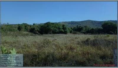 Foto 6 de 7: Area Rural em leilão em Dois Irmãos Do Tocantins - TO — IMÓVEL RURAL | A.T.45,97 HA FAZ. GALILEIA PECUÁRIA | DOIS IRMÃOS DO TOCANTINS/TO