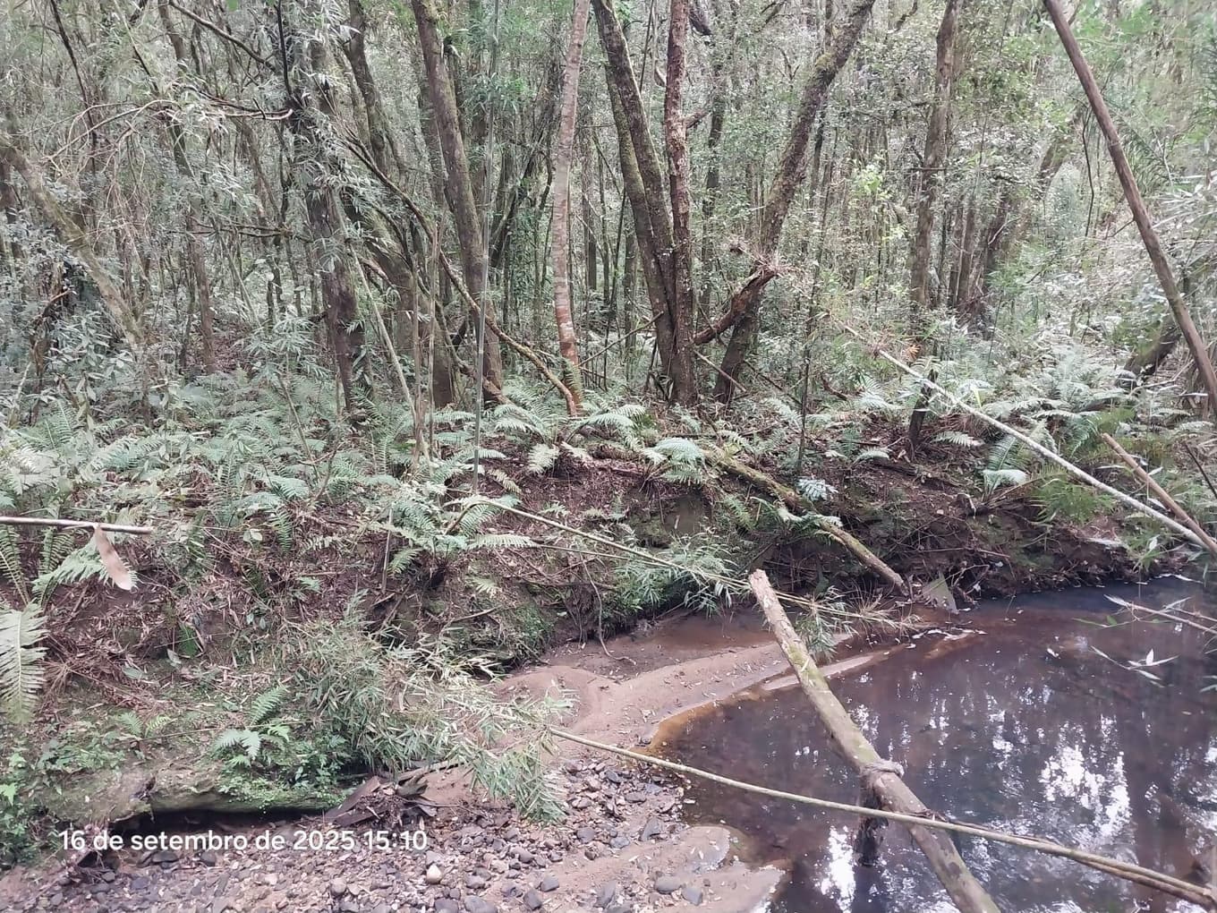 Foto 5 de 31: Area Rural em leilão em Campina Grande Do Sul - PR — Direitos de Posse sobre Chácara de 9,68 Hectares - Campina Grande do Sul/PR