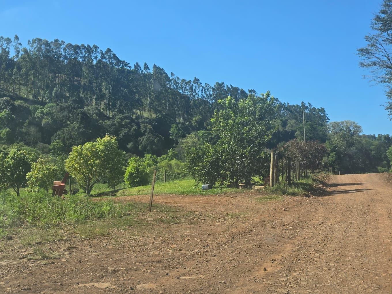 Foto 4 de 6: Terreno em leilão em Anchieta - SC — IMÓVEL RURAL COM ÁREA DE 4,84 ha EM ANCHIETA-SC