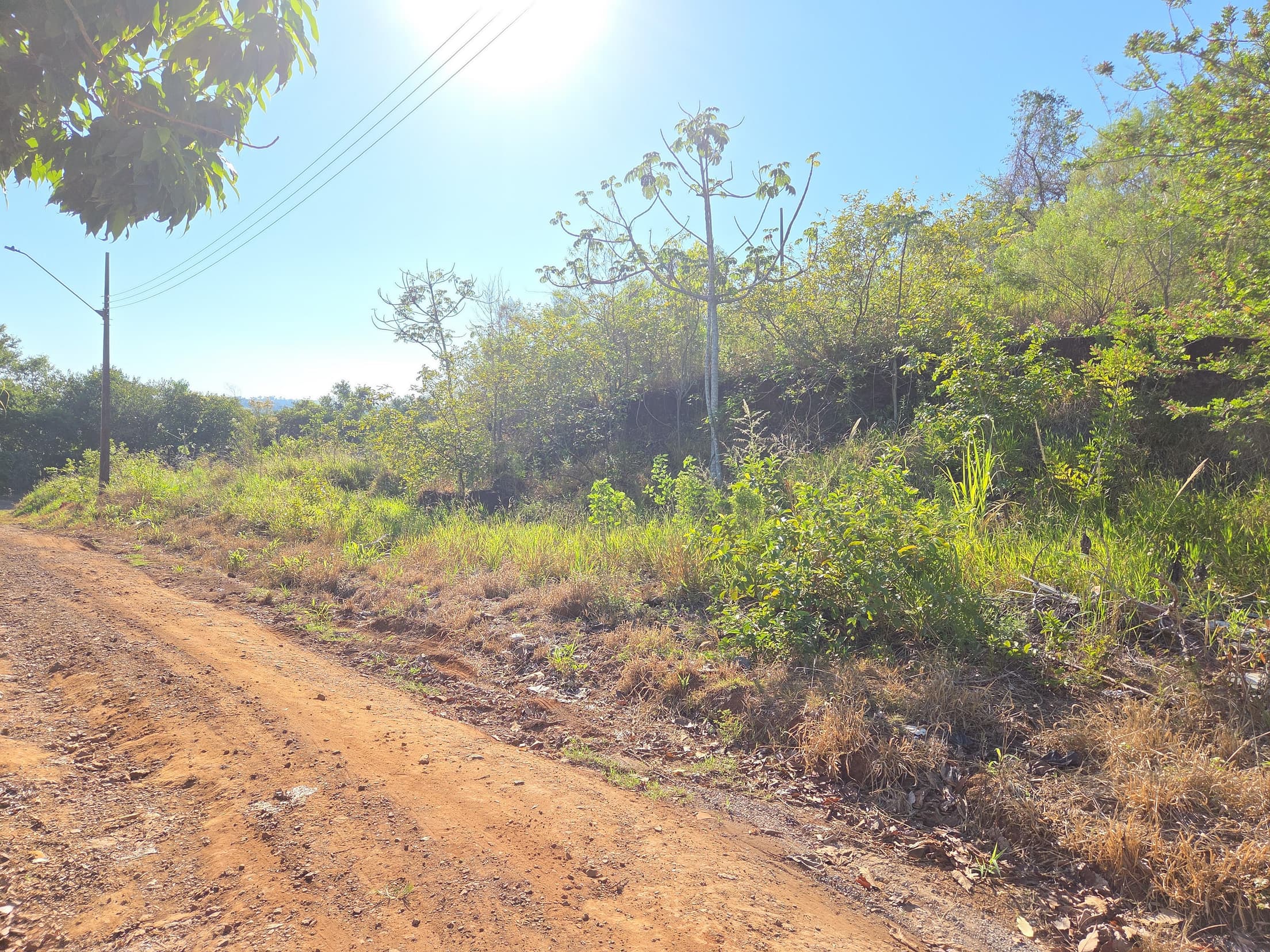 Foto 1 de 4: Terreno em leilão em Nova Prata Do Iguaçu - PR, bairro Distrito Turístico — LOTE URBANO Nº 07, QUADRA Nº 12 DO LOTEAMENTO ESTRELA DOURADA DO MUNICÍPIO DE NOVA PRATA DO IGUAÇU/PR ÁREA DE 450M²