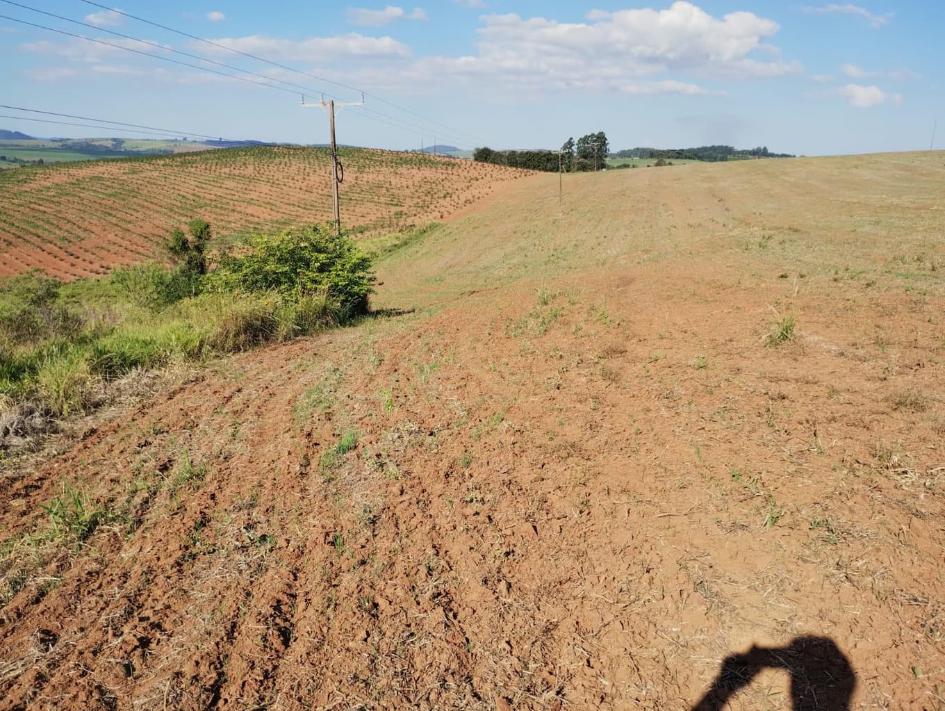 Foto 16 de 24: Area Rural em leilão em São Jerônimo Da Serra - PR — Área rural com área de 35,53 hectares - São Jerônimo da Serra/PR.