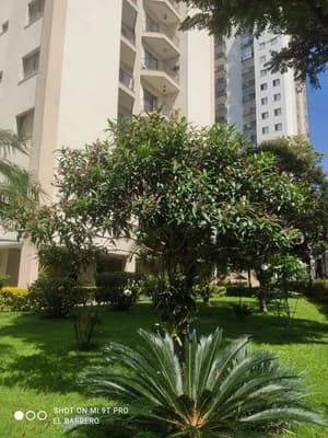 Foto 3 de 3: Apartamento em leilão em São Paulo - SP, bairro Vila Amélia — Apartamento, A.T. 151m², 1 vaga, Vila Amélia