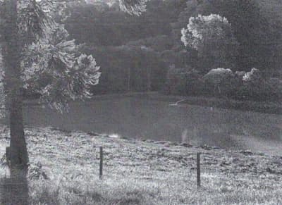 Foto 13 de 17: Area Rural em leilão em Videira - SC — IMÓVEL RURAL COM ÁREA TOTAL DE 40.194,49M2 EM VIDEIRA-SC