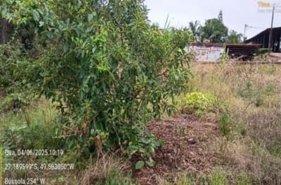 Foto 11 de 13: Terreno em leilão em Rio Do Sul - SC, bairro Bela Aliança — IMÓVEL URBANO COM ÁREA TOTAL DE 2.500,000 m2- Em RIO DO SUL/SC