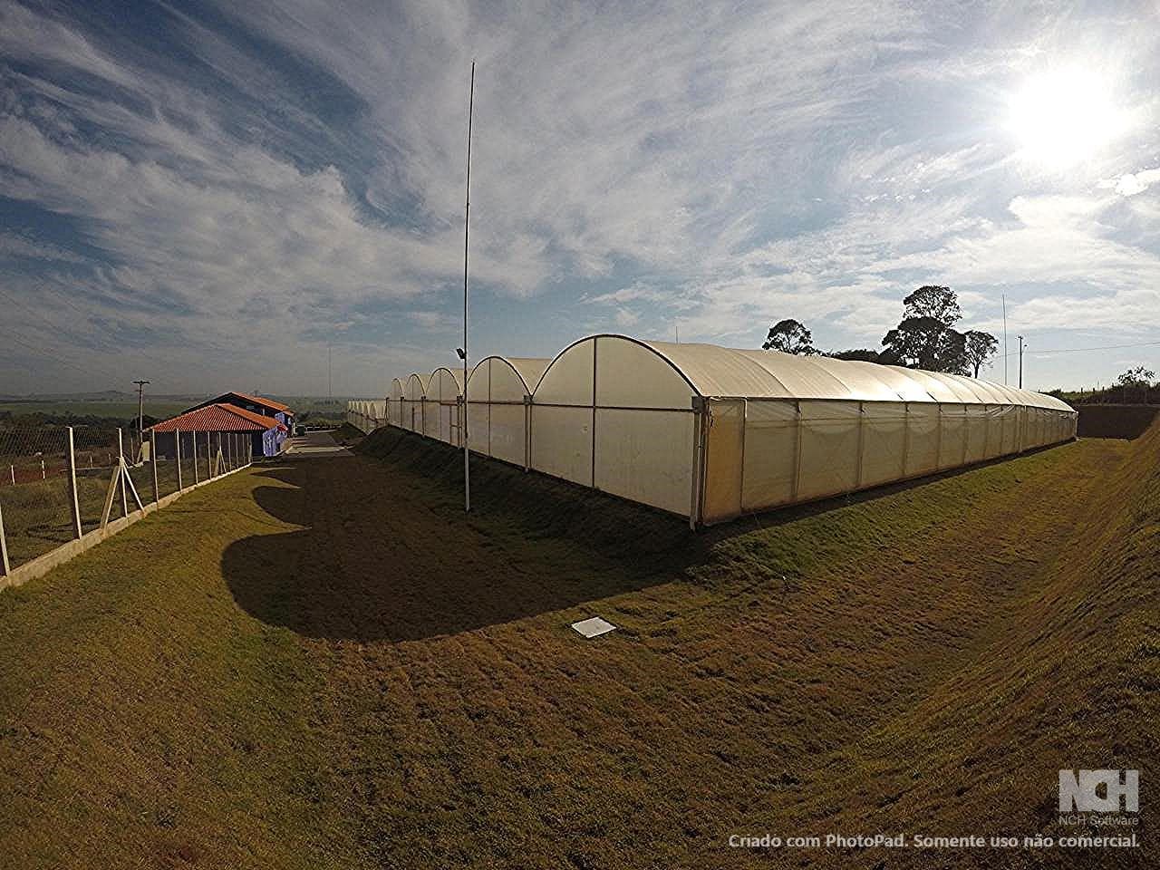 Foto 9 de 13: Area Rural em leilão em São Simão - SP — Sítio com ESTRUTURA 100% PRONTA para AQUICULTURA - com 5,5 Alqueires à 3km de São Simão e 40km de Ribeirão Preto/SP