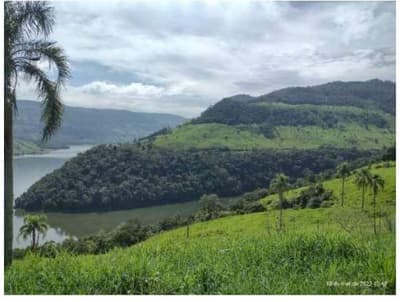 Area Rural em leilão em Coronel Domingos Soares - PR — Terreno Rural com área de 38,66 hectares, as margens do Rio Iguaçu, Gleba III, do Quinhão IV e Quinhões 6 e 6-A, da Fazenda Cacumbangue, município de Coronel Domingo Soares/PR