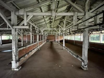 Foto 42 de 74: Area Rural em leilão em União Da Vitória - PR — Lote urbano com área de 5.280,76m²,contendo benfeitorias comerciais com área total de 835,60m² ¿ Nossa Senhora do Rocio ¿ União da Vitória/PR