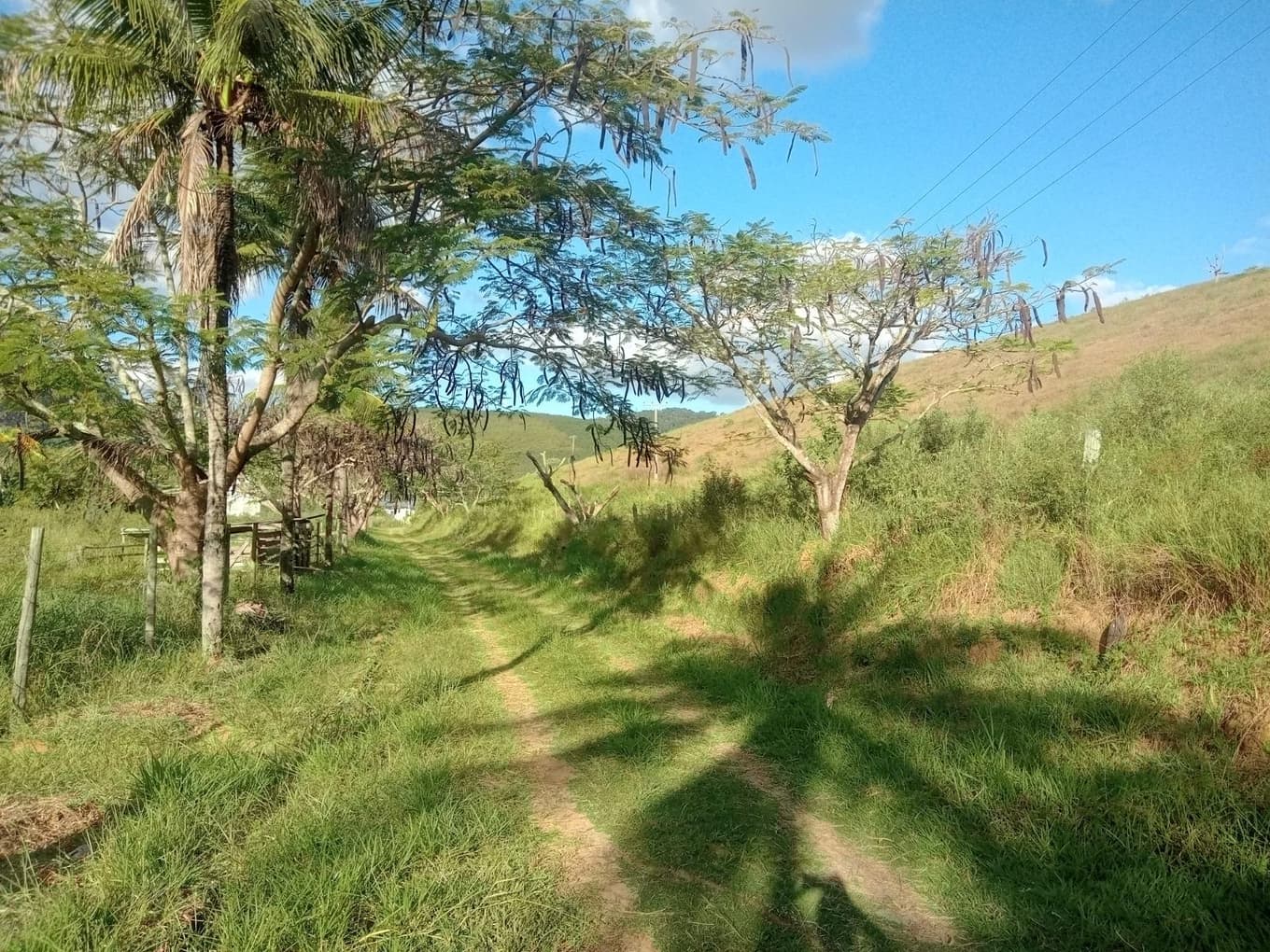 Foto 58 de 61: Terreno em leilão em Muriaé - MG, bairro Sofocó — IMÓVEL URBANO COM ÁREA TOTAL DE 48.206,32 m2- Em MURIAÉ/MG