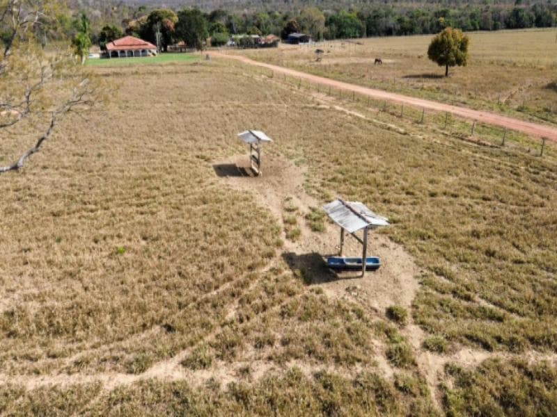 Foto 12 de 20: Area Rural em leilão em Buritis - MG — Fazenda, 90.36 ha, Buritis / MG